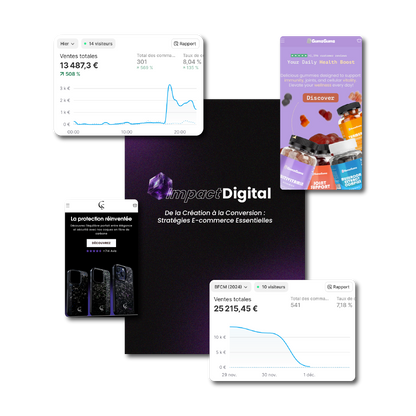Impact Digital : Le Guide Essentiel pour Réussir en E-commerce